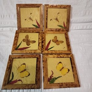 Natural Wood Butterfly Coasters